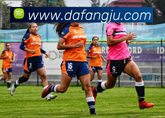 大发彩票APP 封面图